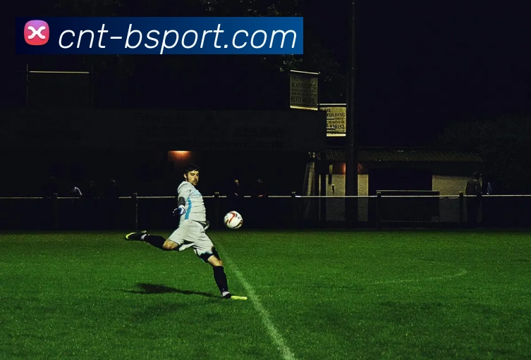 B体育APP 封面图