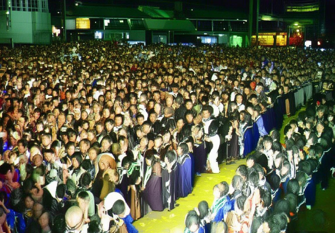 法兰克VS沃尔夫：德甲对决历史战绩与近期表现解析